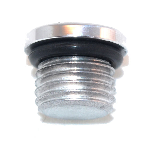 Straight Thread O-Ring Plug -10